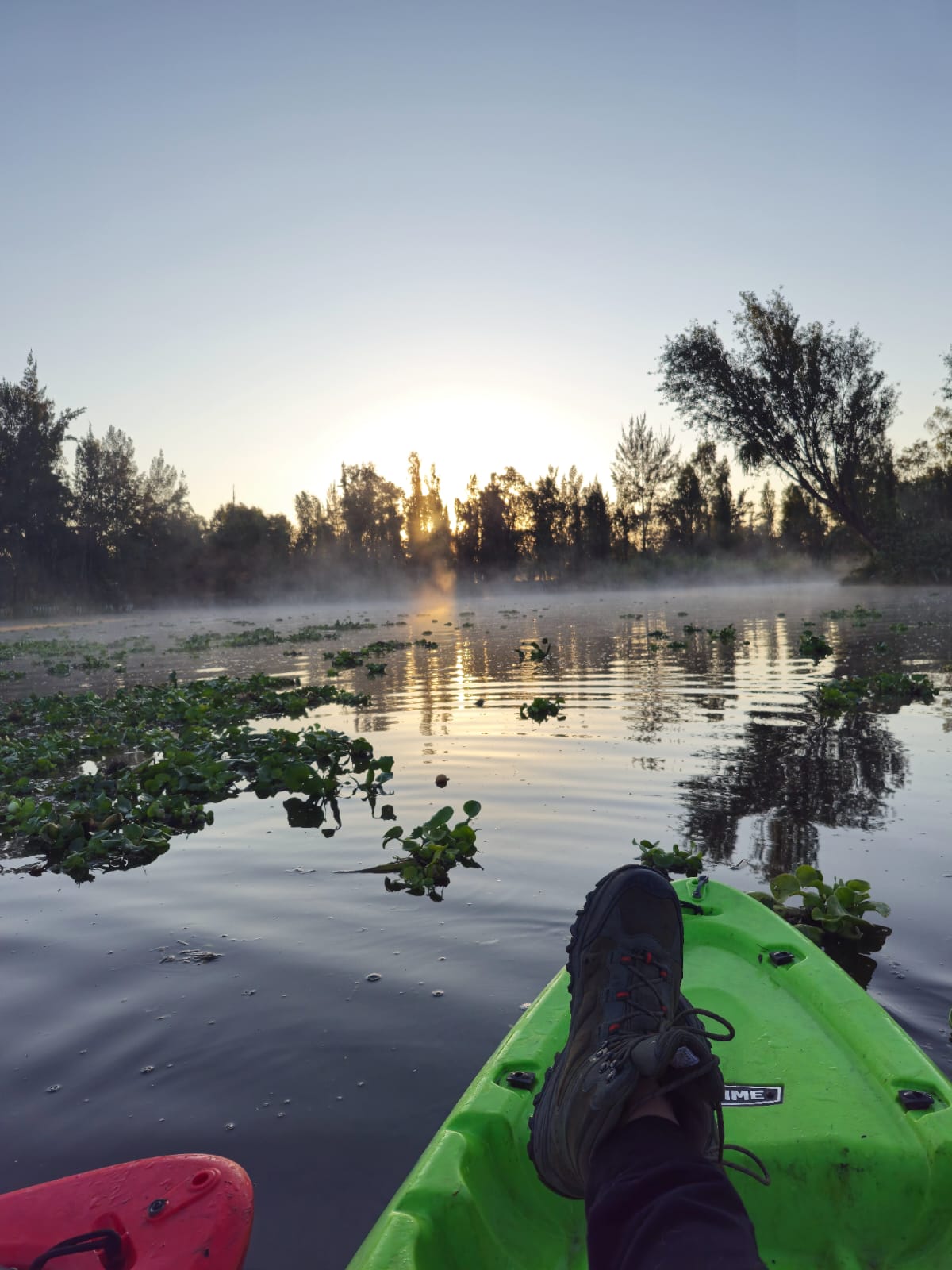 Experiencia Renacer 360 Tours