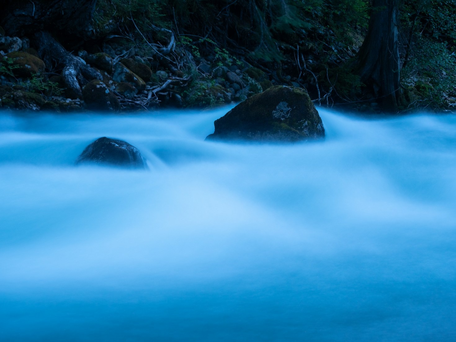 Why Presence is the Key to Personal Transformation